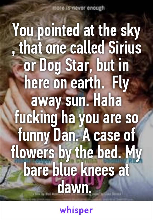 You pointed at the sky , that one called Sirius or Dog Star, but in here on earth.  Fly away sun. Haha fucking ha you are so funny Dan. A case of flowers by the bed. My bare blue knees at dawn. 