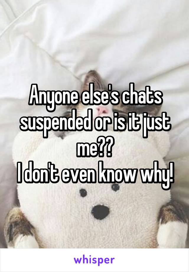 Anyone else's chats suspended or is it just me??
I don't even know why!