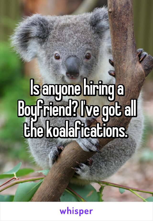 Is anyone hiring a Boyfriend? I've got all the koalafications. 