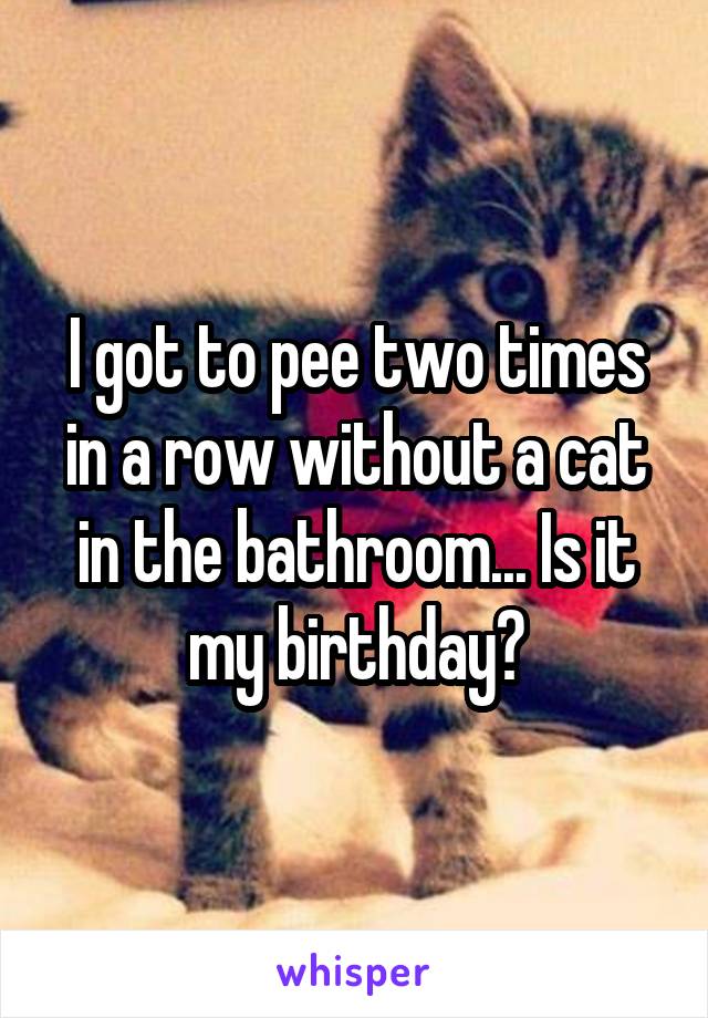 I got to pee two times in a row without a cat in the bathroom... Is it my birthday?