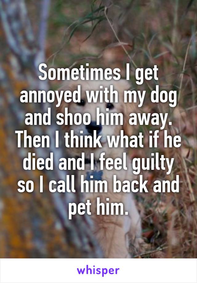 Sometimes I get annoyed with my dog and shoo him away. Then I think what if he died and I feel guilty so I call him back and pet him.