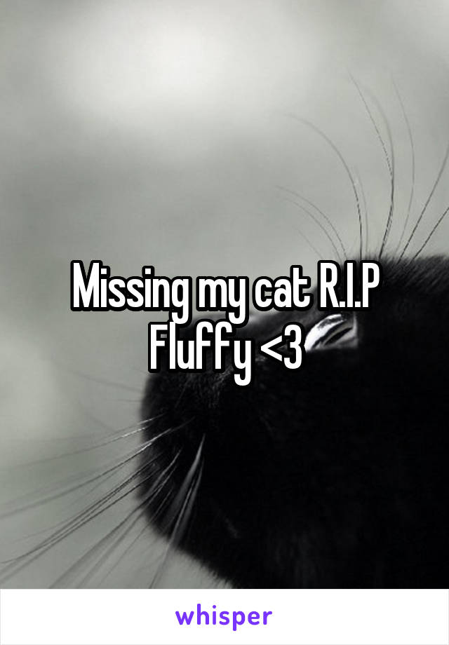 Missing my cat R.I.P Fluffy <3