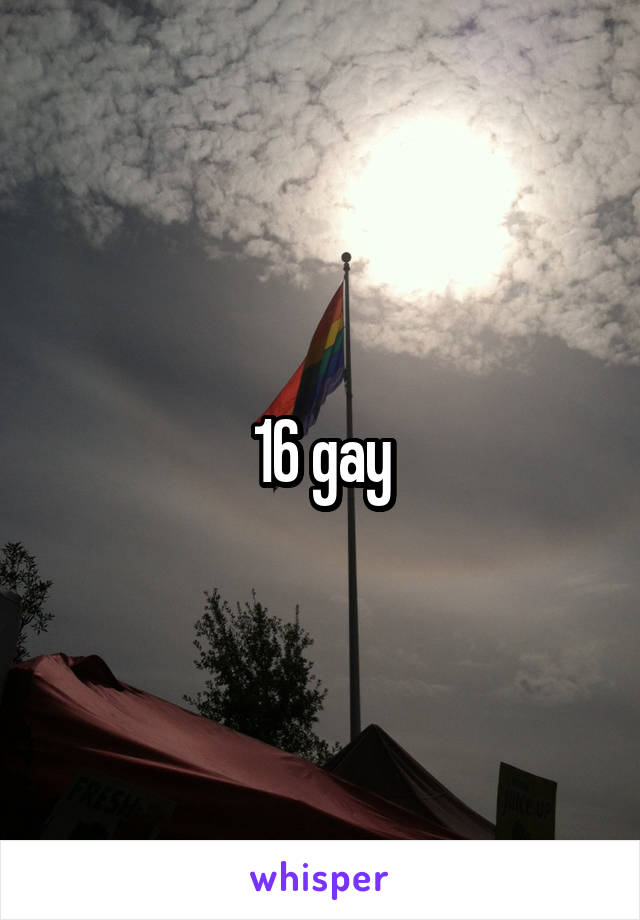 16 gay