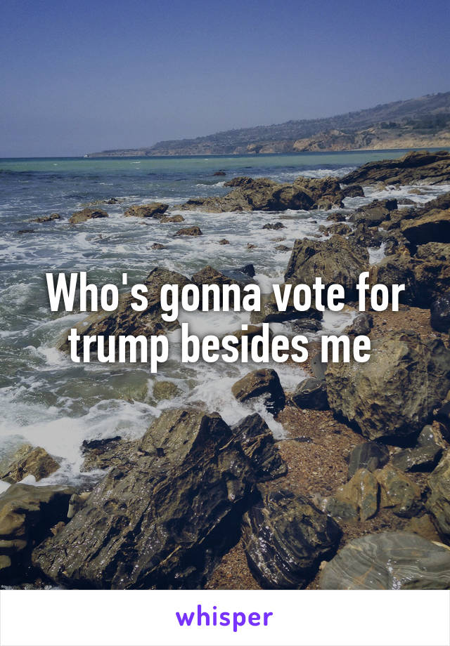 Who's gonna vote for trump besides me 