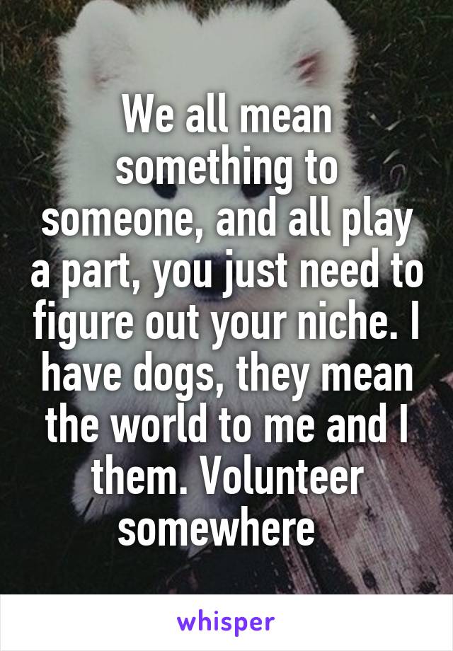 We all mean something to someone, and all play a part, you just need to figure out your niche. I have dogs, they mean the world to me and I them. Volunteer somewhere  