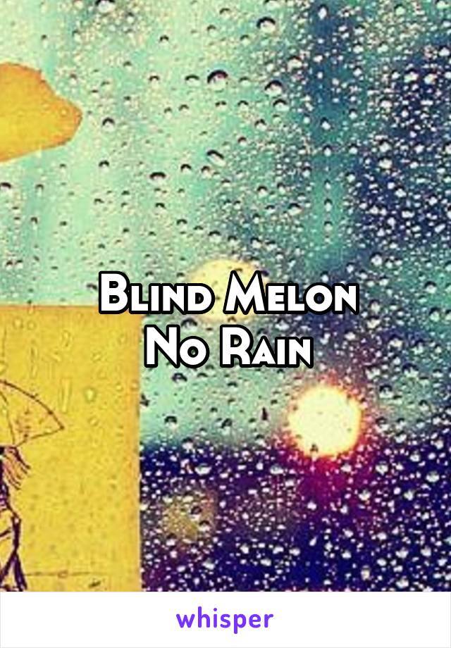 Blind Melon
No Rain