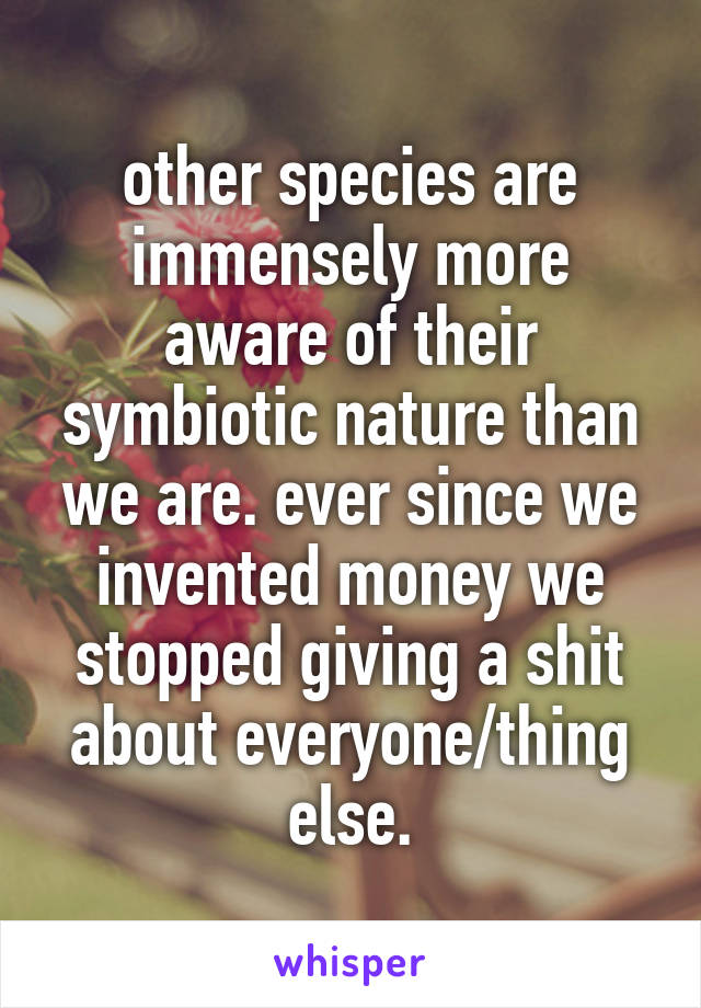 other species are immensely more aware of their symbiotic nature than we are. ever since we invented money we stopped giving a shit about everyone/thing else.