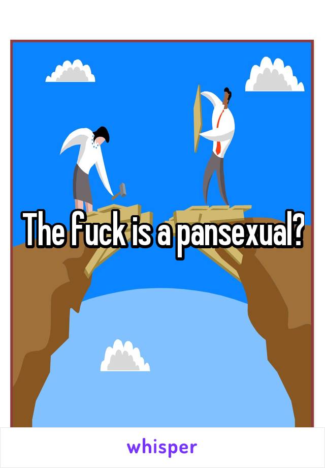 The fuck is a pansexual?