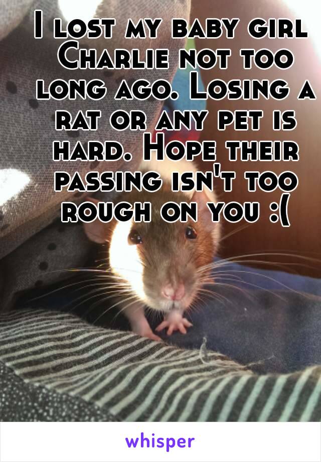 I lost my baby girl Charlie not too long ago. Losing a rat or any pet is hard. Hope their passing isn't too rough on you :(
