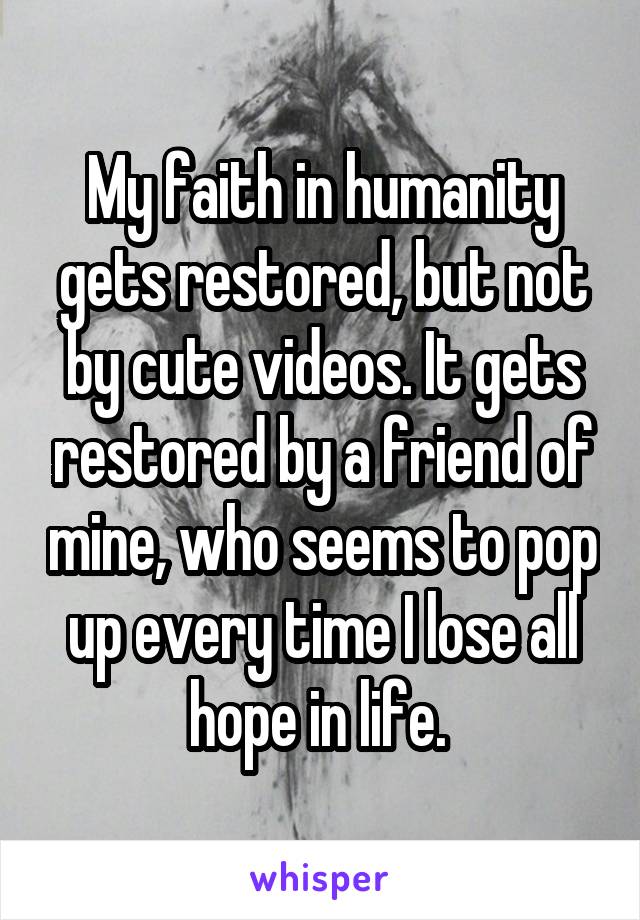 My faith in humanity gets restored, but not by cute videos. It gets restored by a friend of mine, who seems to pop up every time I lose all hope in life. 