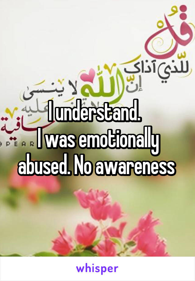 I understand.  
I was emotionally abused. No awareness 