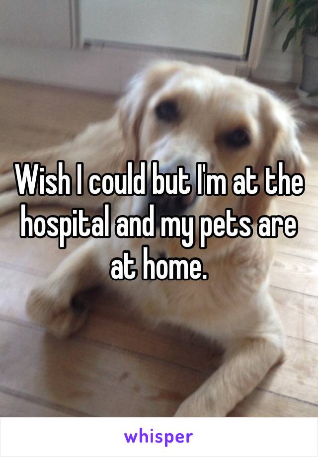 Wish I could but I'm at the hospital and my pets are at home.