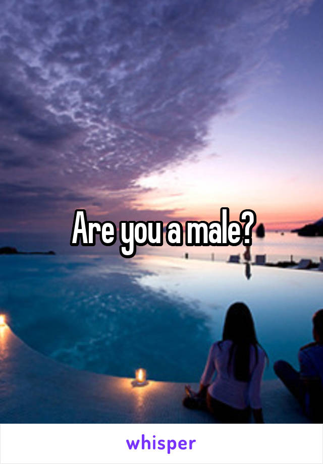 Are you a male?