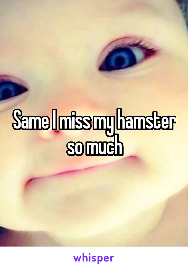 Same I miss my hamster so much