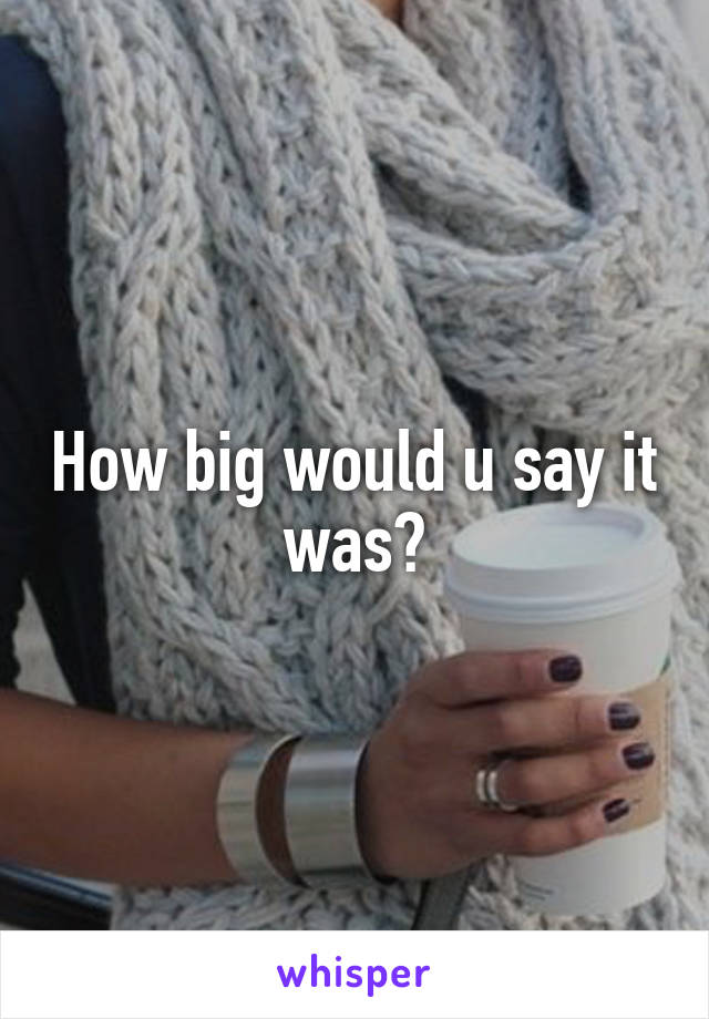 How big would u say it was?