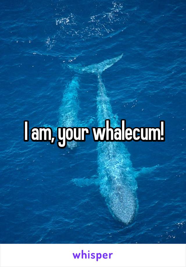 I am, your whalecum!