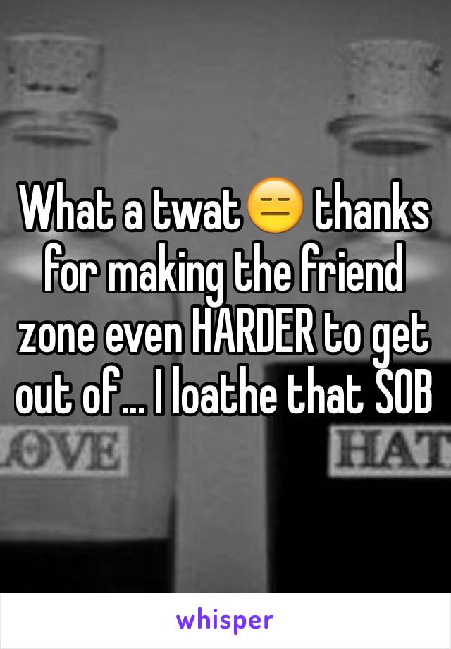 What a twat😑 thanks for making the friend zone even HARDER to get out of... I loathe that SOB 