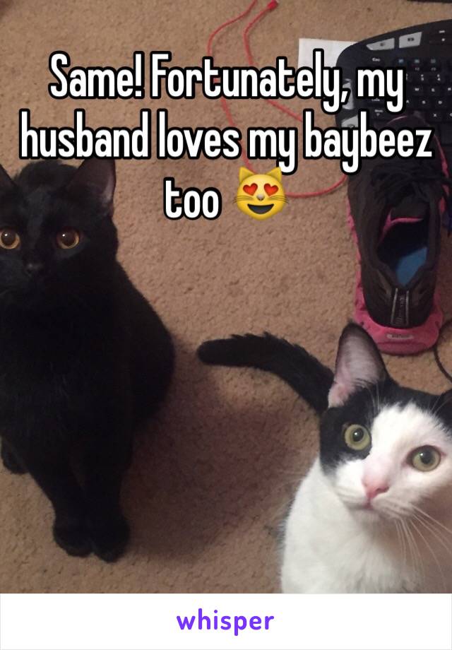 Same! Fortunately, my husband loves my baybeez too 😻