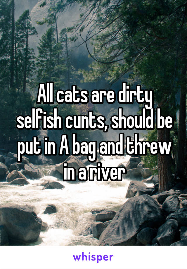 All cats are dirty selfish cunts, should be put in A bag and threw in a river