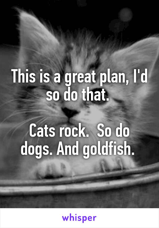 This is a great plan, I'd so do that. 

Cats rock.  So do dogs. And goldfish. 