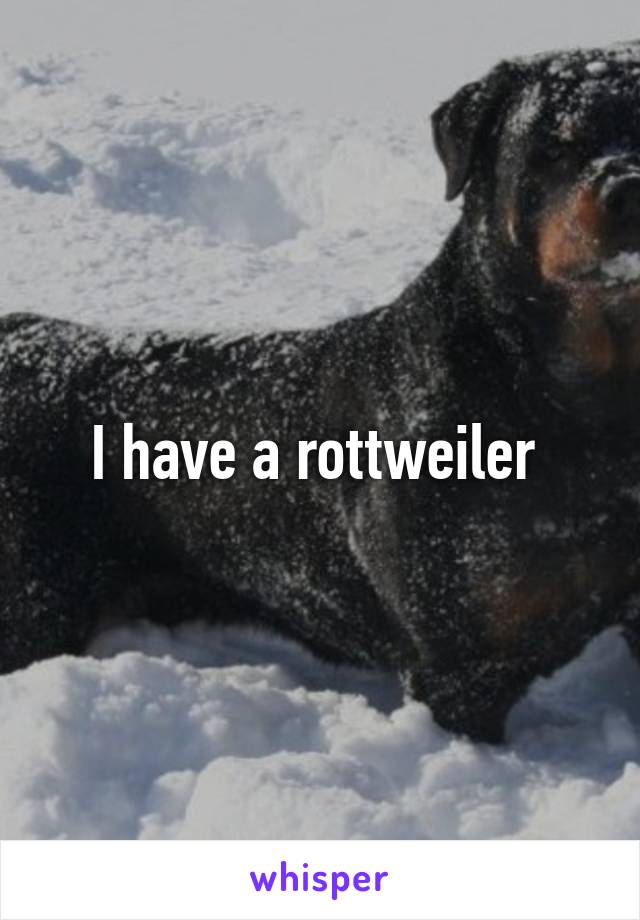 I have a rottweiler 