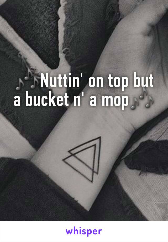 🎶Nuttin' on top but a bucket n' a mop🎶