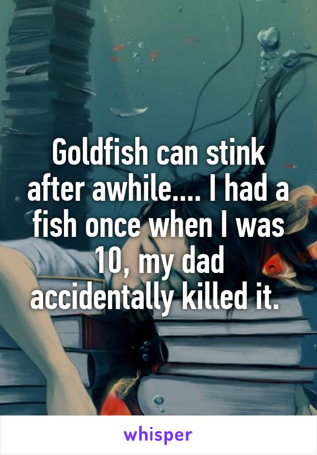 Goldfish can stink after awhile.... I had a fish once when I was 10, my dad accidentally killed it. 