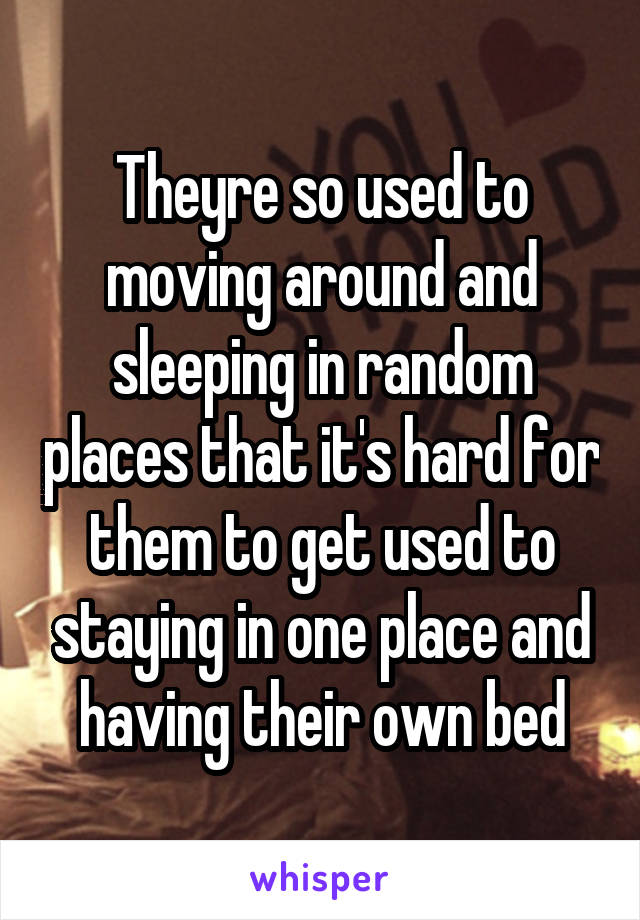 Theyre so used to moving around and sleeping in random places that it's hard for them to get used to staying in one place and having their own bed