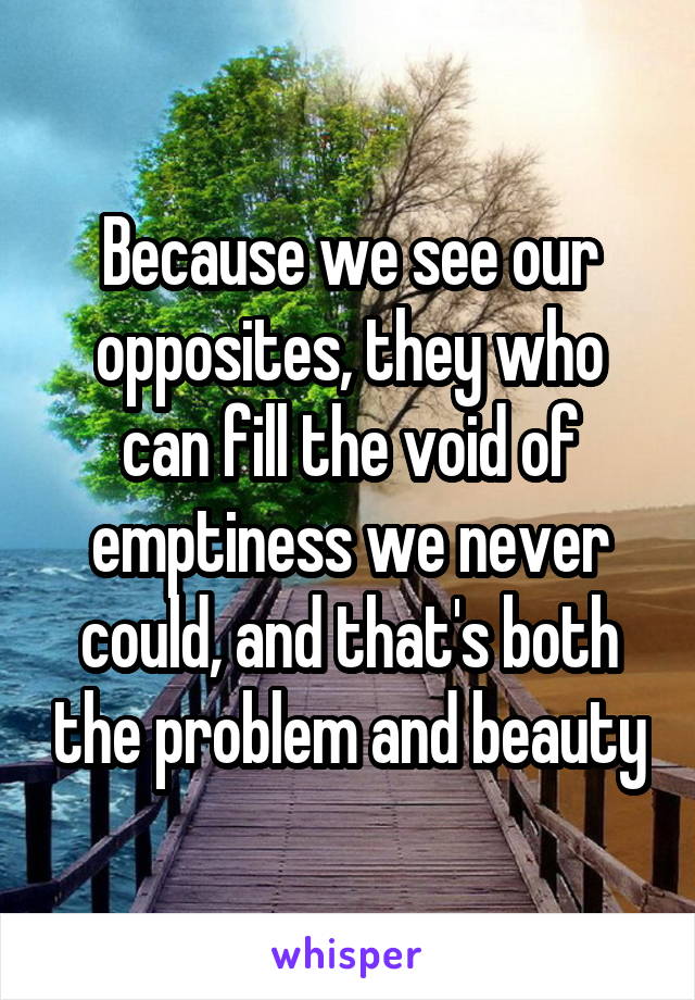 Because we see our opposites, they who can fill the void of emptiness we never could, and that's both the problem and beauty