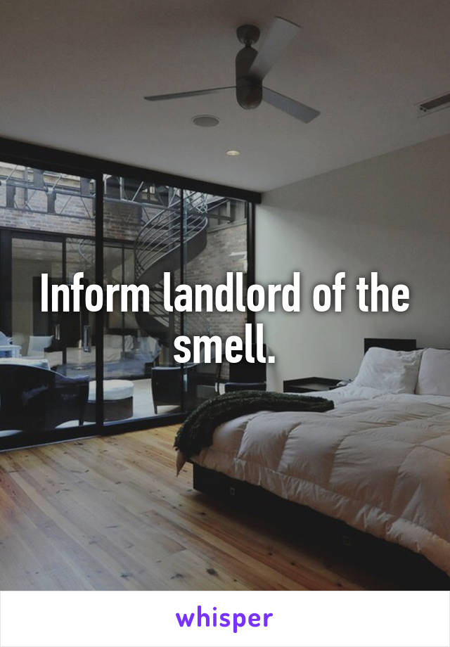 Inform landlord of the smell.