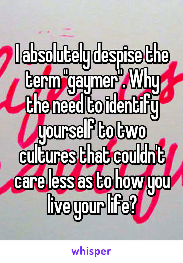 I absolutely despise the term "gaymer". Why the need to identify yourself to two cultures that couldn't care less as to how you live your life?