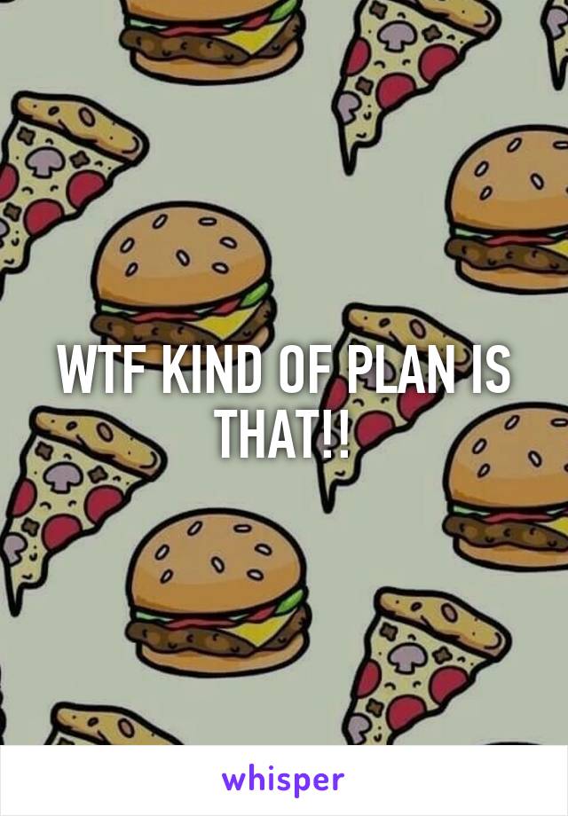 WTF KIND OF PLAN IS THAT!!