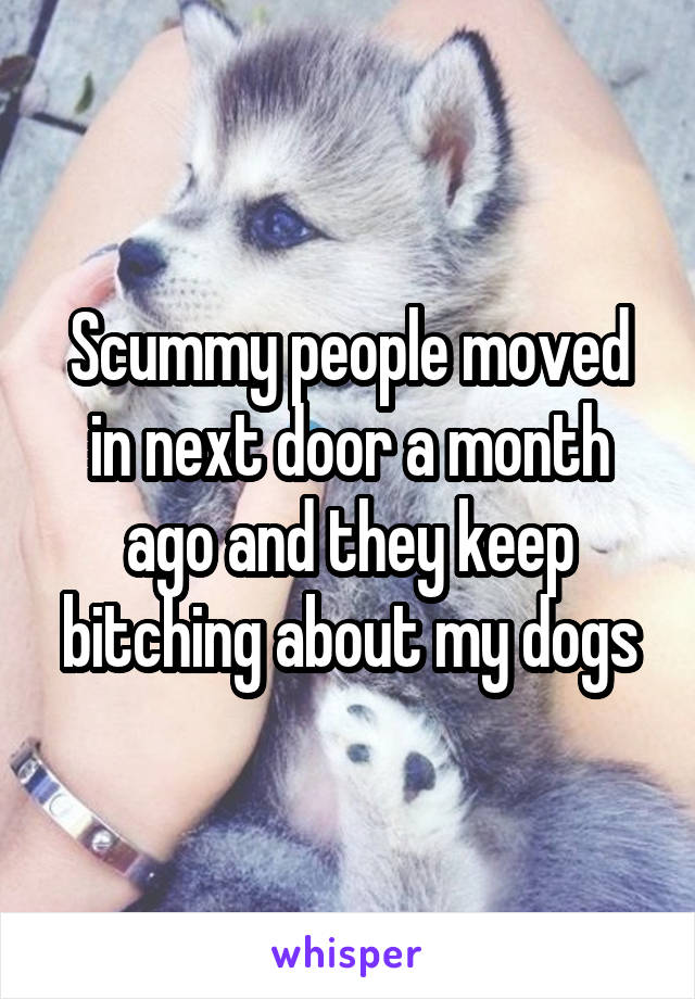 Scummy people moved in next door a month ago and they keep bitching about my dogs
