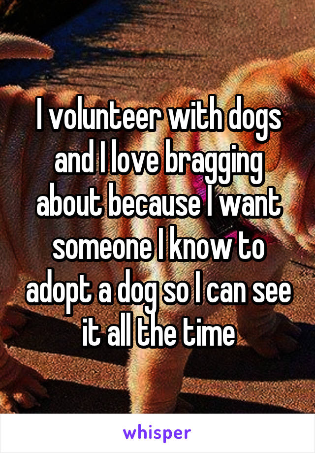 I volunteer with dogs and I love bragging about because I want someone I know to adopt a dog so I can see it all the time