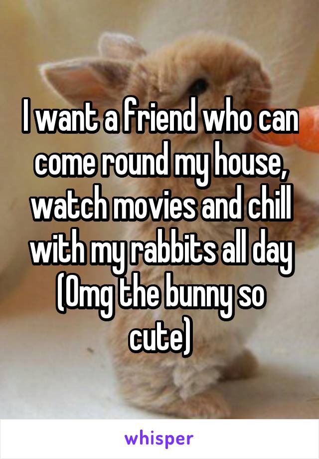 I want a friend who can come round my house, watch movies and chill with my rabbits all day
(Omg the bunny so cute)