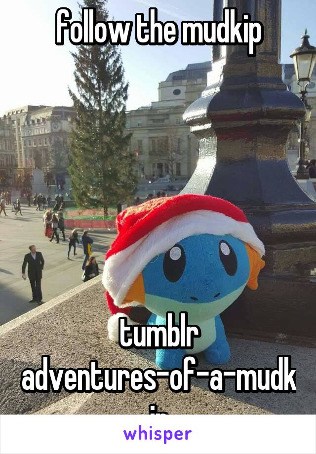 follow the mudkip






tumblr
adventures-of-a-mudkip