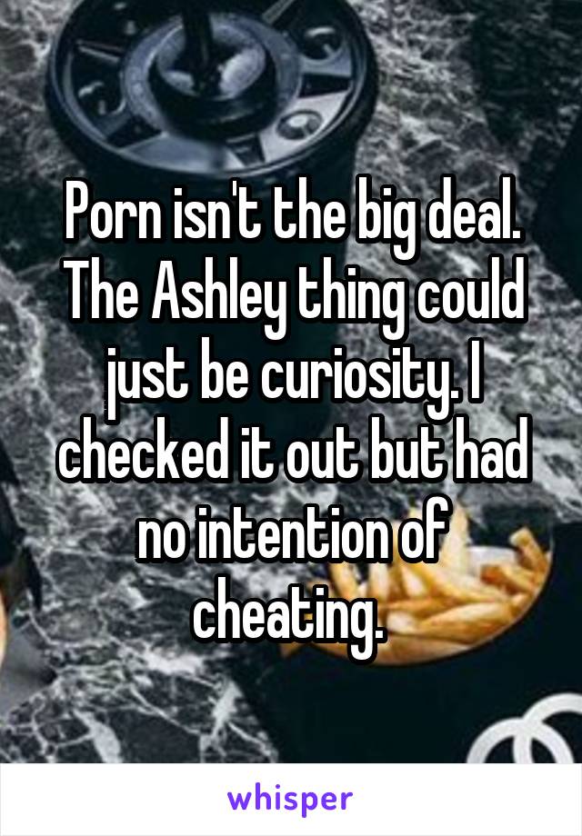Porn isn't the big deal. The Ashley thing could just be curiosity. I checked it out but had no intention of cheating. 
