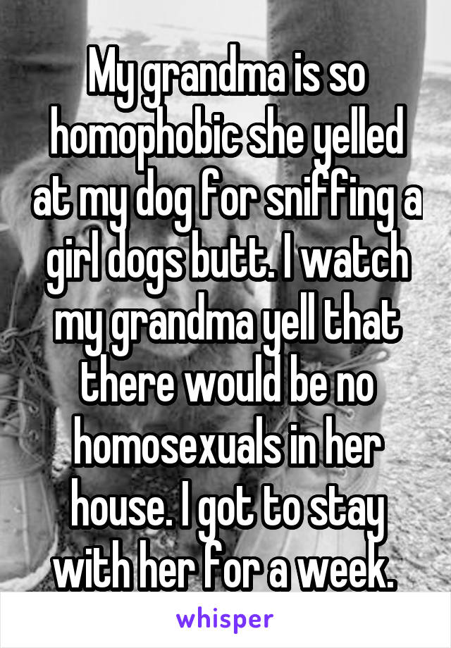 My grandma is so homophobic she yelled at my dog for sniffing a girl dogs butt. I watch my grandma yell that there would be no homosexuals in her house. I got to stay with her for a week. 