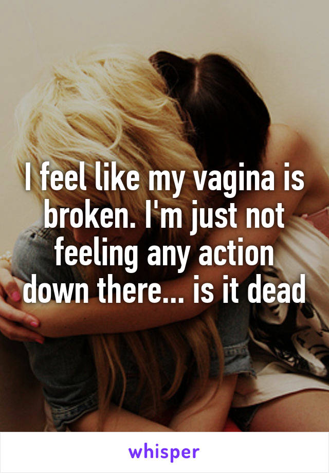 I feel like my vagina is broken. I'm just not feeling any action down there... is it dead