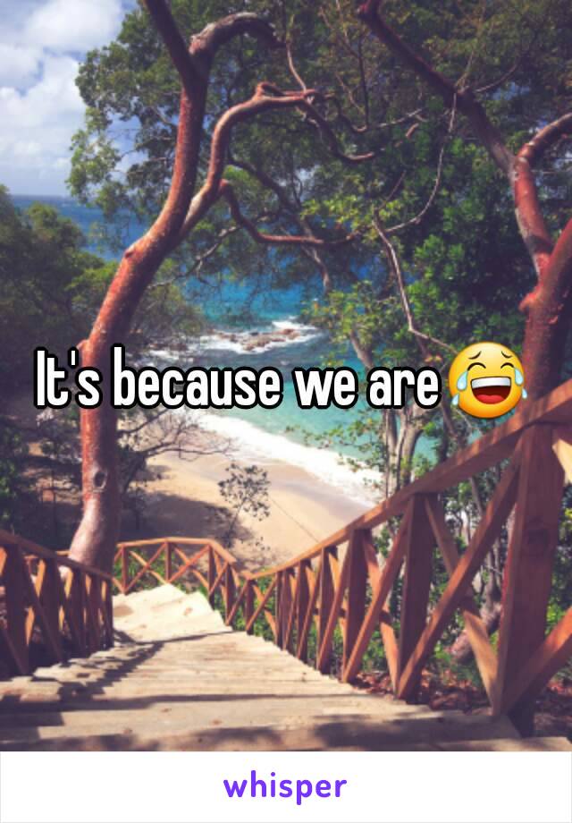 It's because we are😂