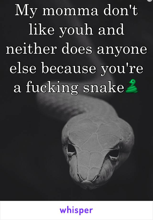 My momma don't like youh and neither does anyone else because you're a fucking snake🐍





