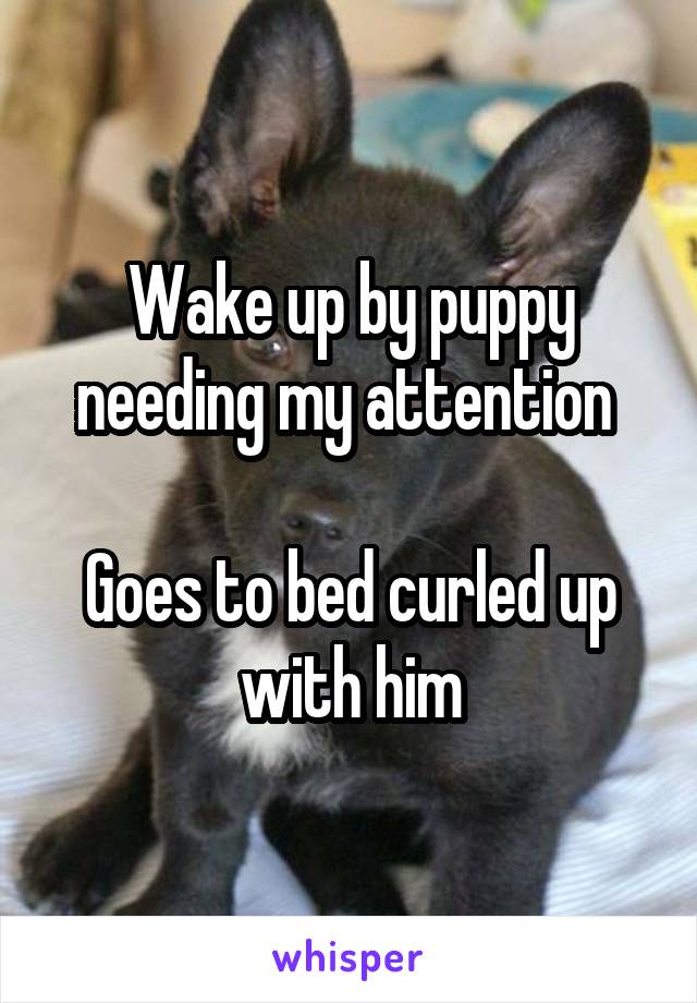 Wake up by puppy needing my attention 

Goes to bed curled up with him