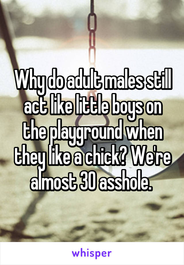 Why do adult males still act like little boys on the playground when they like a chick? We're almost 30 asshole. 