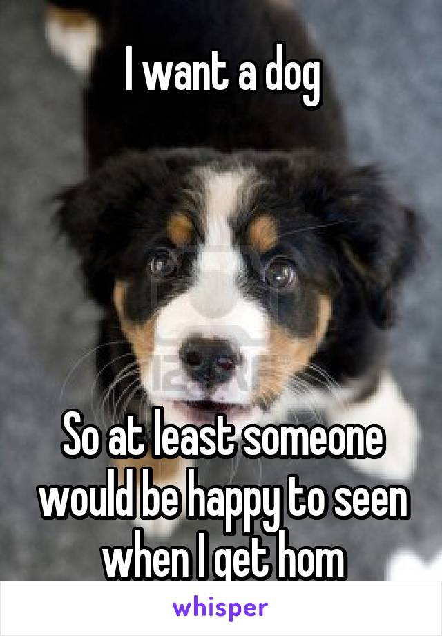 I want a dog





So at least someone would be happy to seen when I get hom