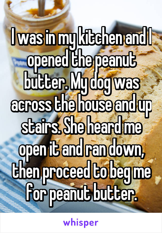 I was in my kitchen and I opened the peanut butter. My dog was across the house and up stairs. She heard me open it and ran down, then proceed to beg me for peanut butter.