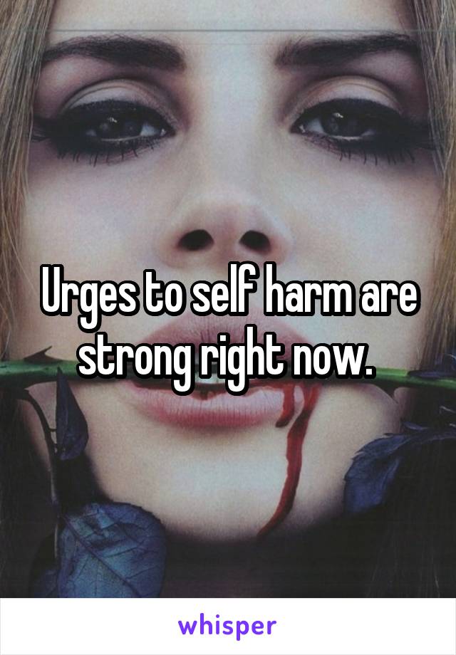 Urges to self harm are strong right now. 