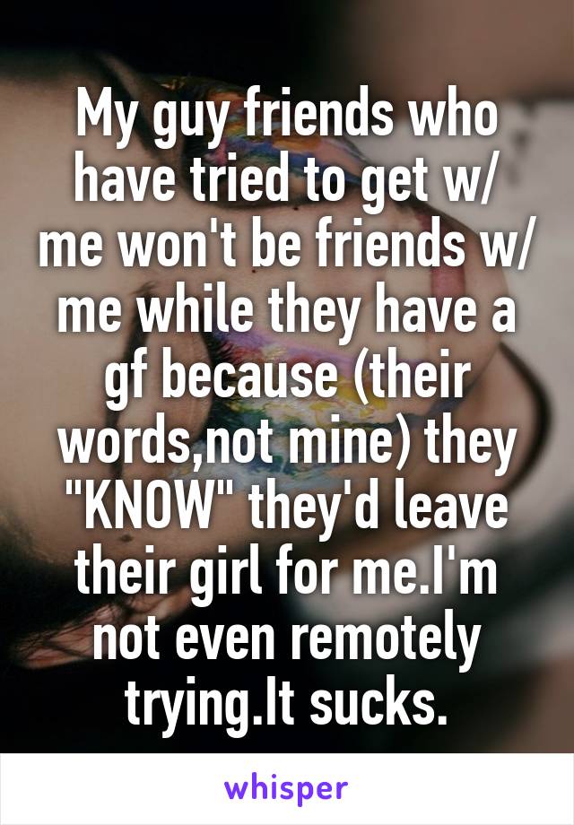 My guy friends who have tried to get w/ me won't be friends w/ me while they have a gf because (their words,not mine) they "KNOW" they'd leave their girl for me.I'm not even remotely trying.It sucks.