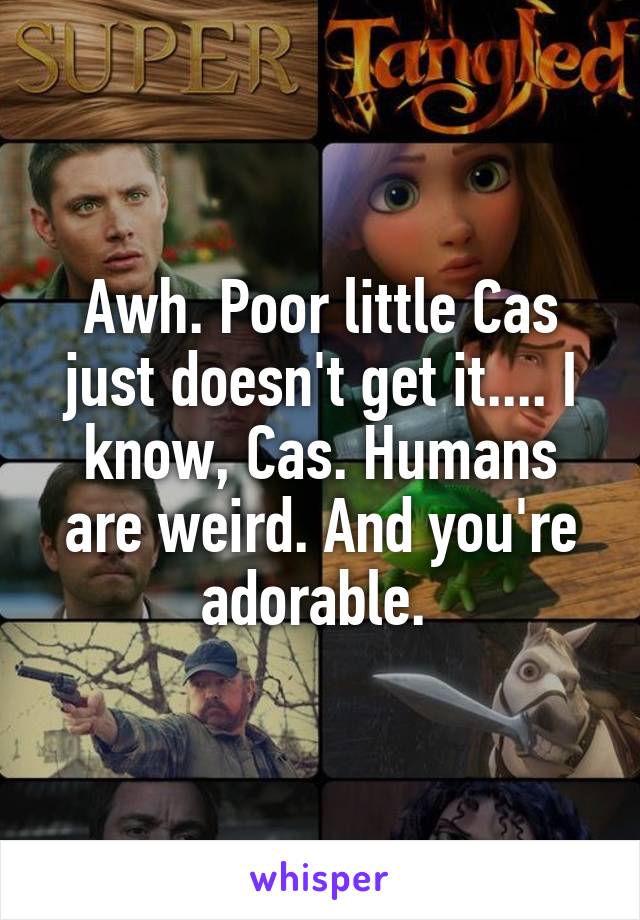 Awh. Poor little Cas just doesn't get it.... I know, Cas. Humans are weird. And you're adorable. 