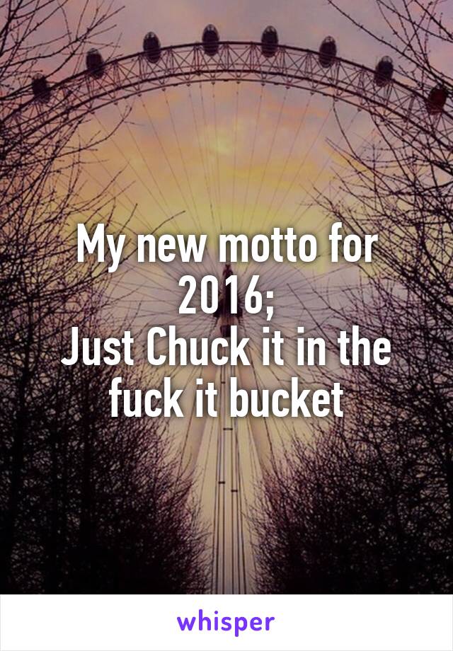 My new motto for 2016;
Just Chuck it in the fuck it bucket