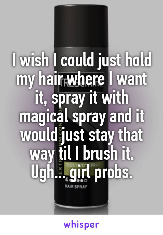 I wish I could just hold my hair where I want it, spray it with magical spray and it would just stay that way til I brush it. Ugh... girl probs.